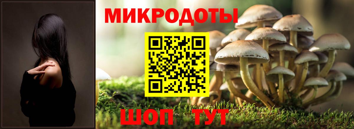 Усть-Илимск  Псилоцибиновые грибы MAGIC MUSHROOMS  Галлюциногенные грибы Psilocybe  Вход с VPN 
